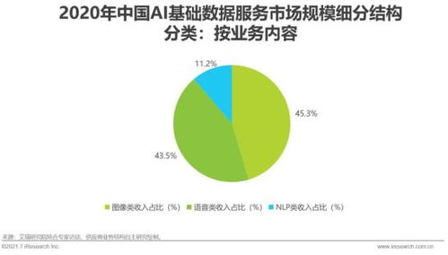 2021年中國人工智能基礎(chǔ)層行業(yè)研究報(bào)告 基礎(chǔ)軟件開發(fā)篇