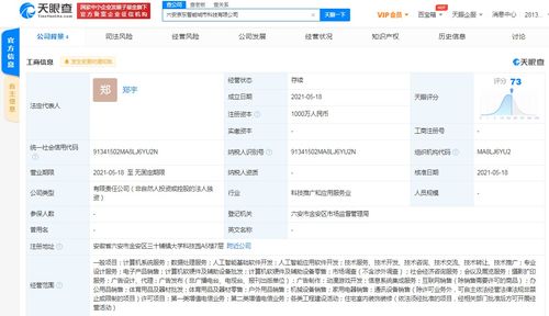 京東云計算拓展智能城市版圖，新設科技公司布局動漫游戲開發與系統集成